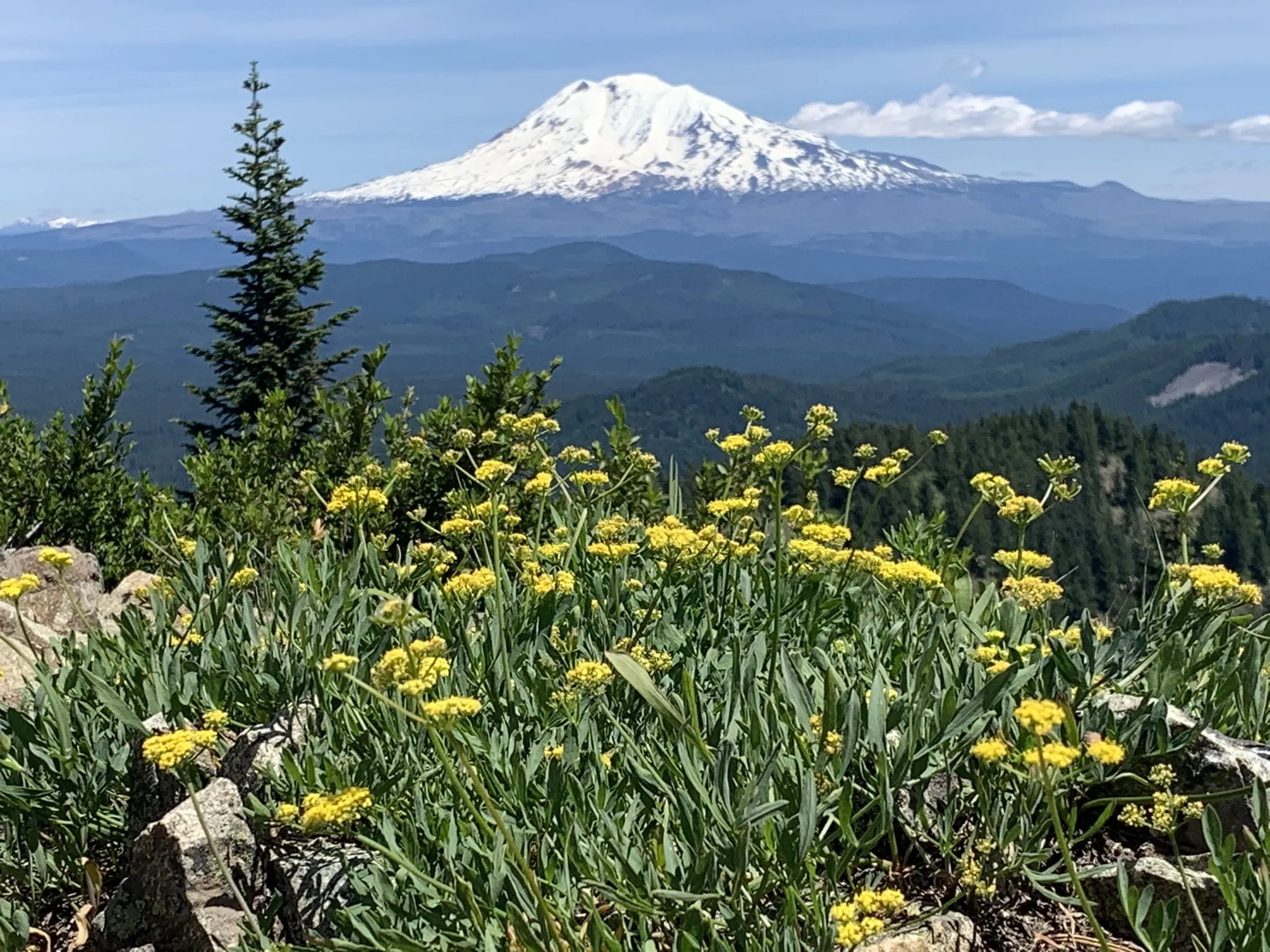 Cheese Cave in Trout Lake, Washington